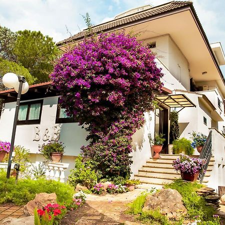Bed & Breakfast Santa Fara บารี ภายนอก รูปภาพ