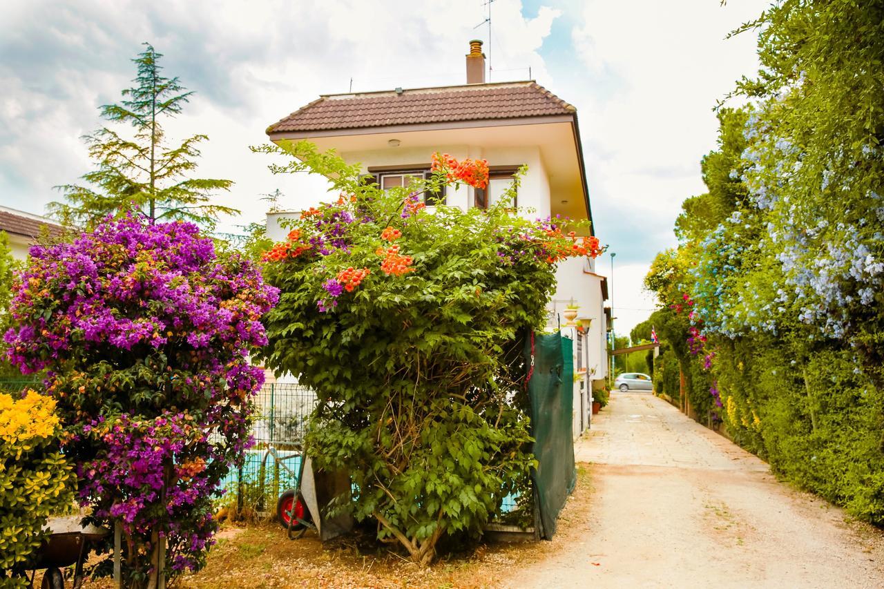 Bed & Breakfast Santa Fara บารี ภายนอก รูปภาพ